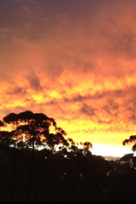 Avoca Beach And Bush Luaran gambar
