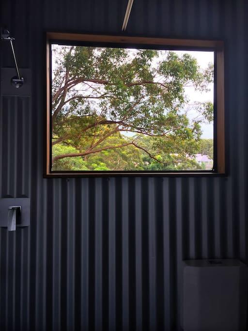 Avoca Beach And Bush Luaran gambar