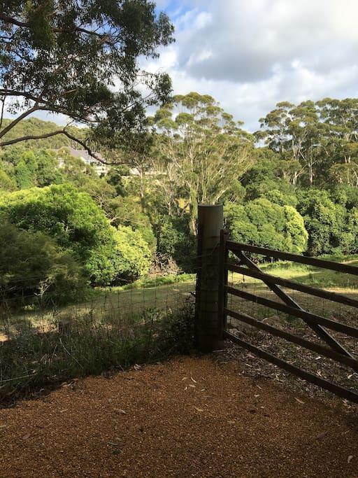 Avoca Beach And Bush Luaran gambar
