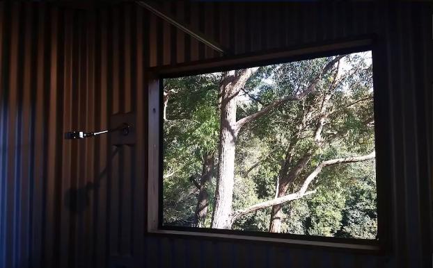Avoca Beach And Bush Luaran gambar